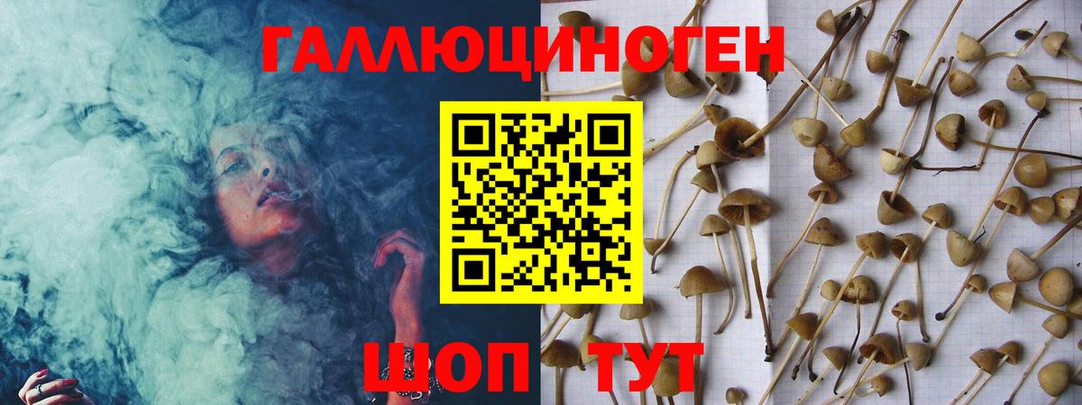 Галлюциногенные грибы Psilocybine cubensis  Вход с VPN  Калач-на-Дону 