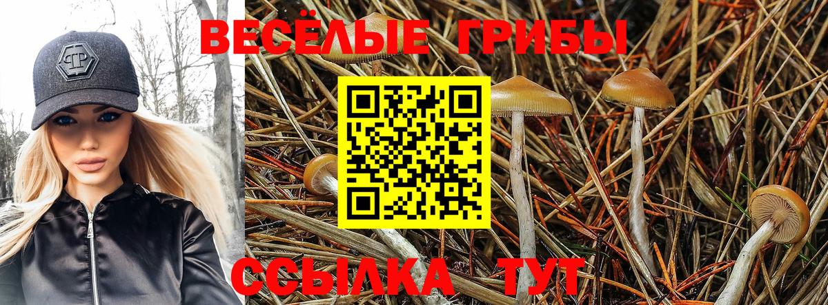 MDMA  Вход с VPN  Меф МЯУ МЯУ   ГАШИШ  Калач-на-Дону  Гашиш 